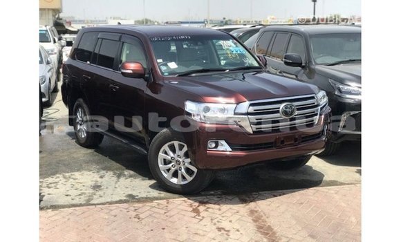 Buy Import Toyota Land Cruiser Red Car in Import - Dubai in Marquesas Buy Import Toyota Land Cruiser Red Car in Import - Dubai in Marquesas
