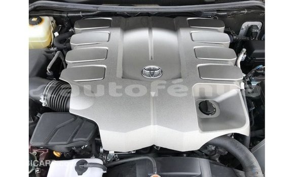 Buy Import Toyota Land Cruiser Red Car in Import - Dubai in Marquesas Buy Import Toyota Land Cruiser Red Car in Import - Dubai in Marquesas