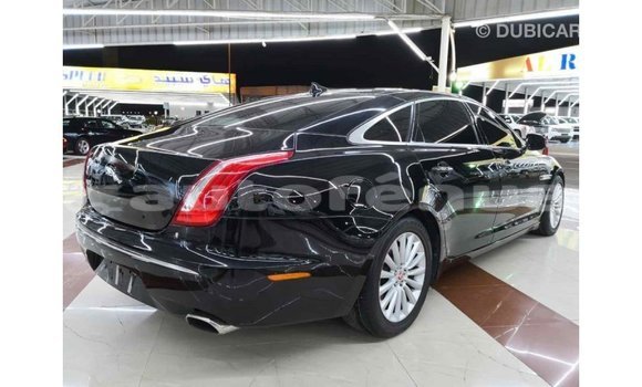 Buy Import Jaguar XJ Black Car in Import - Dubai in Marquesas Buy Import Jaguar XJ Black Car in Import - Dubai in Marquesas