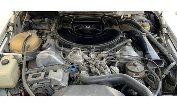 Acheter Import Voiture Mercedes-Benz 190 Blanc à Import - Dubai, Marquesas Acheter Import Voiture Mercedes-Benz 190 Blanc à Import - Dubai, Marquesas