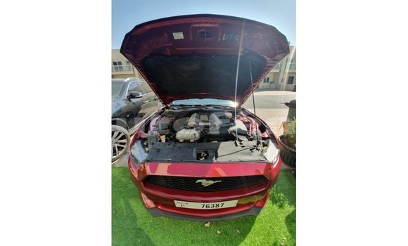 Acheter Import Voiture Ford Mustang Rouge à Import - Dubai, Marquesas Acheter Import Voiture Ford Mustang Rouge à Import - Dubai, Marquesas