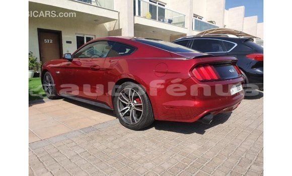 Acheter Import Voiture Ford Mustang Rouge à Import - Dubai, Marquesas Acheter Import Voiture Ford Mustang Rouge à Import - Dubai, Marquesas