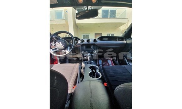 Acheter Import Voiture Ford Mustang Rouge à Import - Dubai, Marquesas Acheter Import Voiture Ford Mustang Rouge à Import - Dubai, Marquesas