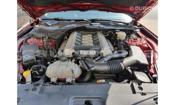 Acheter Import Voiture Ford Mustang Rouge à Import - Dubai, Marquesas Acheter Import Voiture Ford Mustang Rouge à Import - Dubai, Marquesas