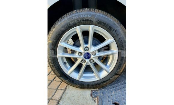 Acheter Import Voiture Ford Focus Blanc à Import - Dubai, Marquesas Acheter Import Voiture Ford Focus Blanc à Import - Dubai, Marquesas