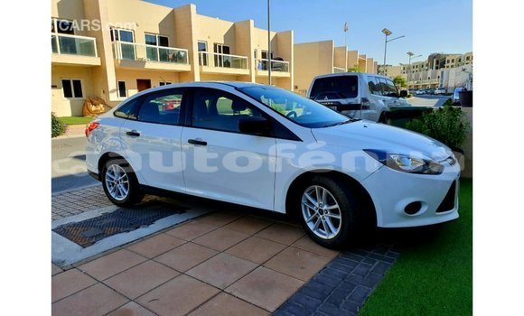 Acheter Import Voiture Ford Focus Blanc à Import - Dubai, Marquesas Acheter Import Voiture Ford Focus Blanc à Import - Dubai, Marquesas