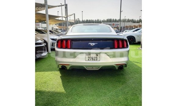 Acheter Import Voiture Ford Mustang Autre à Import - Dubai, Marquesas Acheter Import Voiture Ford Mustang Autre à Import - Dubai, Marquesas