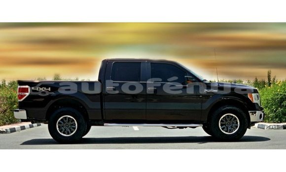 Acheter Import Voiture Ford Club Wagon Marron à Import - Dubai, Marquesas Acheter Import Voiture Ford Club Wagon Marron à Import - Dubai, Marquesas