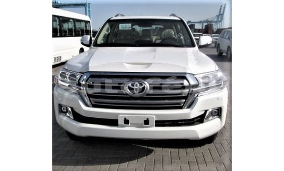 Acheter Import Voiture Toyota Land Cruiser Blanc à Import - Dubai, Marquesas