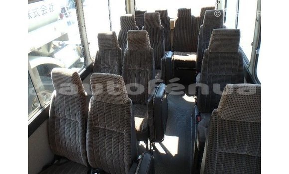 Buy Import Toyota Coaster White Car in Import - Dubai in Marquesas Buy Import Toyota Coaster White Car in Import - Dubai in Marquesas