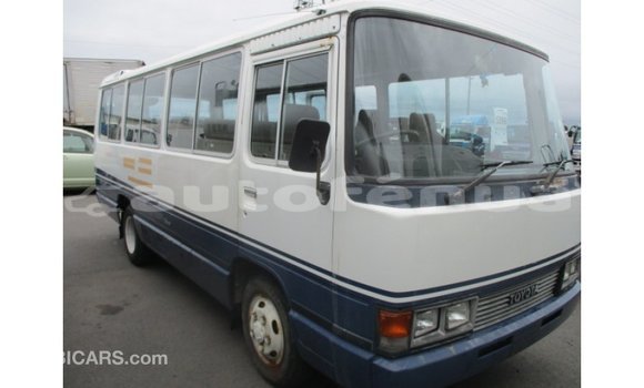 Buy Import Toyota Coaster White Car in Import - Dubai in Marquesas Buy Import Toyota Coaster White Car in Import - Dubai in Marquesas