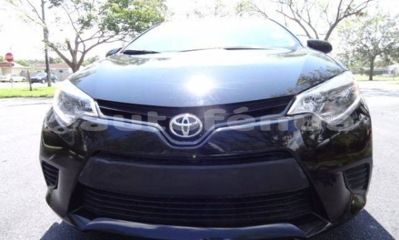 Buy Used Toyota Corolla Other Car in Kauehi in Tuamotu