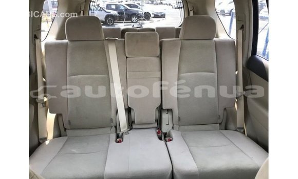 Buy Import Toyota Prado Brown Car in Import - Dubai in Marquesas Buy Import Toyota Prado Brown Car in Import - Dubai in Marquesas