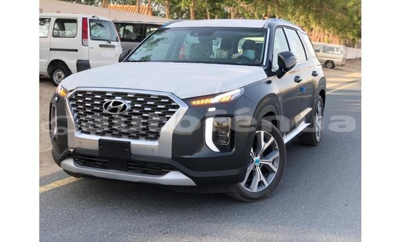 Acheter Import Utilitaire Hyundai Chorus Autre à Import - Dubai, Marquesas Acheter Import Utilitaire Hyundai Chorus Autre à Import - Dubai, Marquesas