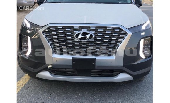 Acheter Import Utilitaire Hyundai Chorus Autre à Import - Dubai, Marquesas Acheter Import Utilitaire Hyundai Chorus Autre à Import - Dubai, Marquesas