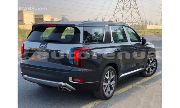 Acheter Import Utilitaire Hyundai Chorus Autre à Import - Dubai, Marquesas Acheter Import Utilitaire Hyundai Chorus Autre à Import - Dubai, Marquesas