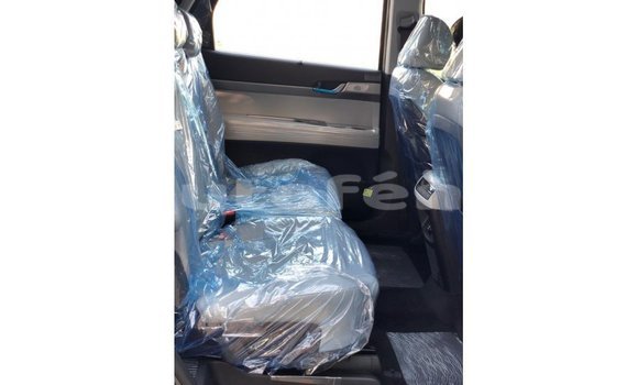 Acheter Import Utilitaire Hyundai Chorus Autre à Import - Dubai, Marquesas Acheter Import Utilitaire Hyundai Chorus Autre à Import - Dubai, Marquesas