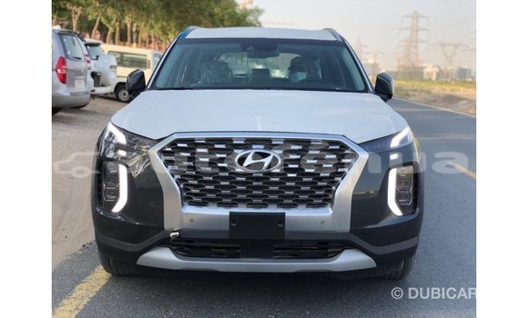 Acheter Import Utilitaire Hyundai Chorus Autre à Import - Dubai, Marquesas Acheter Import Utilitaire Hyundai Chorus Autre à Import - Dubai, Marquesas