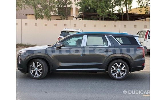 Acheter Import Utilitaire Hyundai Chorus Autre à Import - Dubai, Marquesas Acheter Import Utilitaire Hyundai Chorus Autre à Import - Dubai, Marquesas