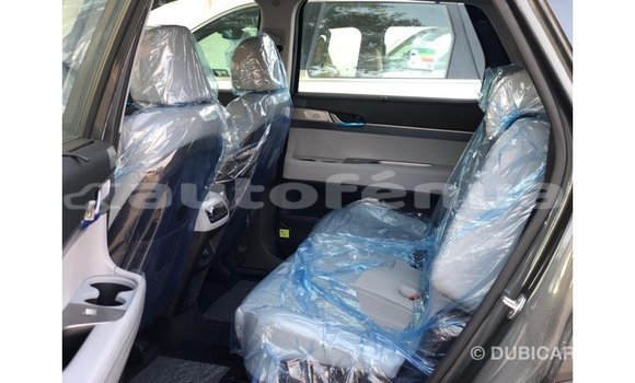 Acheter Import Utilitaire Hyundai Chorus Autre à Import - Dubai, Marquesas Acheter Import Utilitaire Hyundai Chorus Autre à Import - Dubai, Marquesas