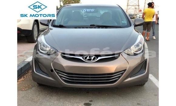 Buy Import Hyundai Elantra Brown Car in Import - Dubai in Marquesas