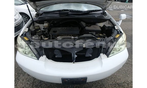 Buy Import Toyota Harrier White Car in Import - Dubai in Marquesas Buy Import Toyota Harrier White Car in Import - Dubai in Marquesas