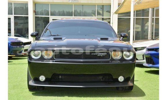 Acheter Import Voiture Dodge Challenger Noir à Import - Dubai, Marquesas