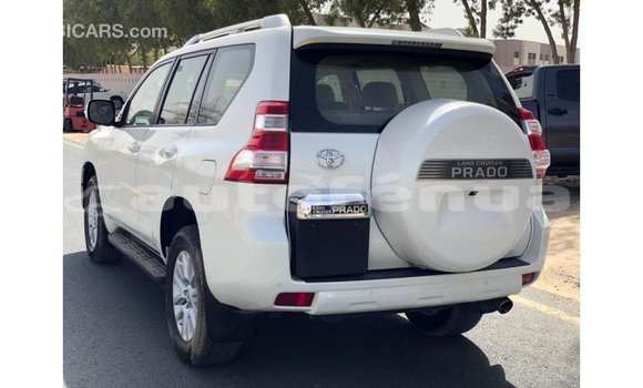 Acheter Import Voiture Toyota Prado Blanc à Import - Dubai, Marquesas Acheter Import Voiture Toyota Prado Blanc à Import - Dubai, Marquesas