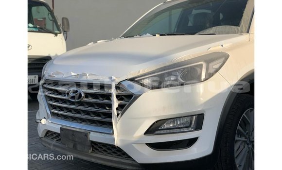 Acheter Import Voiture Hyundai Tucson Blanc à Import - Dubai, Marquesas Acheter Import Voiture Hyundai Tucson Blanc à Import - Dubai, Marquesas