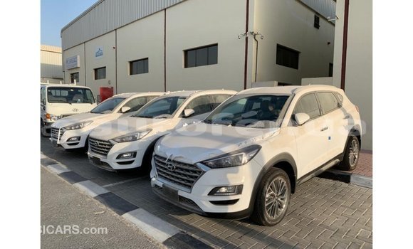 Acheter Import Voiture Hyundai Tucson Blanc à Import - Dubai, Marquesas Acheter Import Voiture Hyundai Tucson Blanc à Import - Dubai, Marquesas