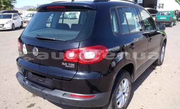 Acheter Occasion Voiture Volkswagen Tiguan Bleu à Napuka, Tuamotu Acheter Occasion Voiture Volkswagen Tiguan Bleu à Napuka, Tuamotu