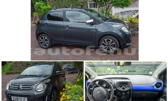 Acheter Occasion Voiture Citroen C1 Gris à Punaauia, Tahiti