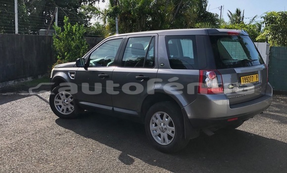 Acheter Occasion Voiture Land Rover Freelander Gris à Arue , Tahiti