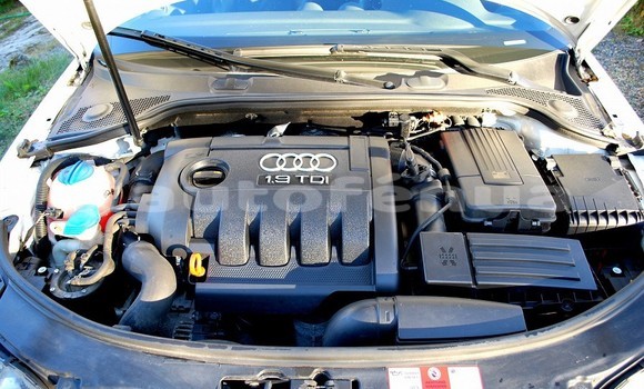 Acheter Occasion Voiture Audi A3 Blanc à Anatonu, Tubuai Acheter Occasion Voiture Audi A3 Blanc à Anatonu, Tubuai