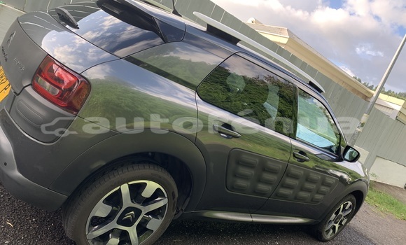 Acheter Occasion Voiture Citroen C4 Cactus Gris à Punaauia, Tahiti Acheter Occasion Voiture Citroen C4 Cactus Gris à Punaauia, Tahiti