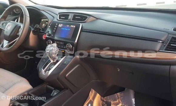 Acheter Import Moto Honda C Autre à Import - Dubai, Marquesas Acheter Import Moto Honda C Autre à Import - Dubai, Marquesas