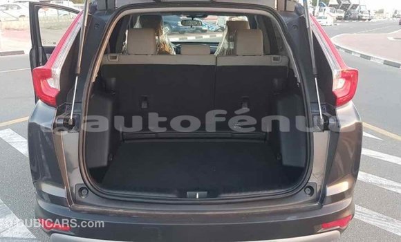 Acheter Import Moto Honda C Autre à Import - Dubai, Marquesas Acheter Import Moto Honda C Autre à Import - Dubai, Marquesas