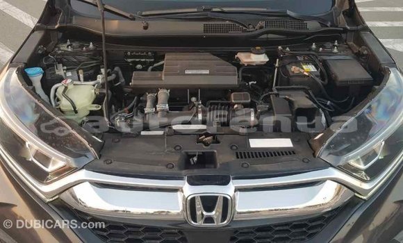 Acheter Import Moto Honda C Autre à Import - Dubai, Marquesas