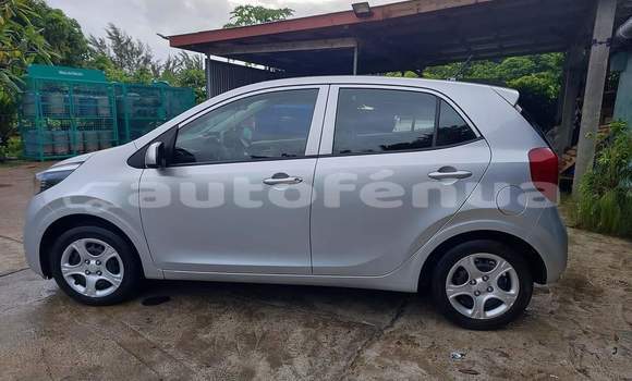Buy Used Kia Picanto Silver Car in Huahine in Huahine Buy Used Kia Picanto Silver Car in Huahine in Huahine