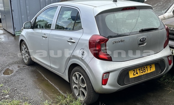 Acheter Occasion Voiture Kia Picanto Gris à Taiarapu, Tahiti Acheter Occasion Voiture Kia Picanto Gris à Taiarapu, Tahiti