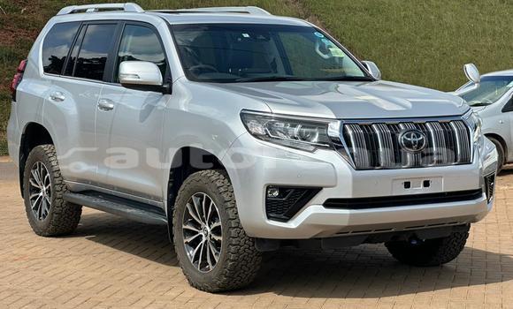 Buy Used Toyota Land Cruiser Prado White Car in Anapoto in Tubuai Buy Used Toyota Land Cruiser Prado White Car in Anapoto in Tubuai