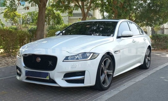 Acheter Occasion Voiture Jaguar XF Blanc à Vaiuru, Tubuai