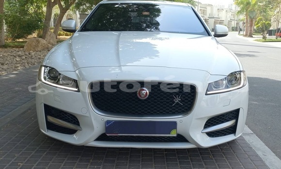 Acheter Occasion Voiture Jaguar XF Blanc à Vaiuru, Tubuai Acheter Occasion Voiture Jaguar XF Blanc à Vaiuru, Tubuai
