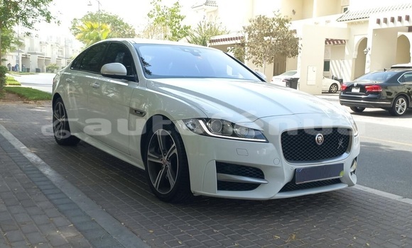 Acheter Occasion Voiture Jaguar XF Blanc à Vaiuru, Tubuai Acheter Occasion Voiture Jaguar XF Blanc à Vaiuru, Tubuai