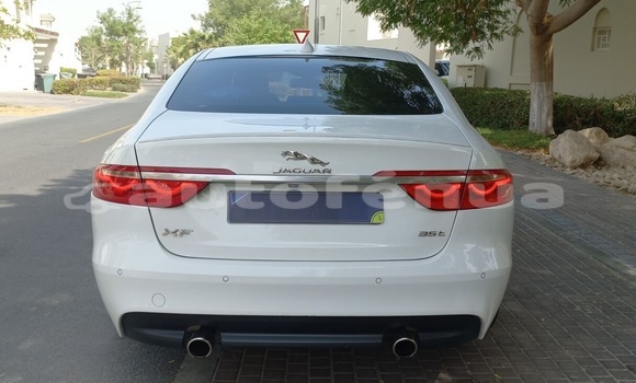 Acheter Occasion Voiture Jaguar XF Blanc à Vaiuru, Tubuai Acheter Occasion Voiture Jaguar XF Blanc à Vaiuru, Tubuai