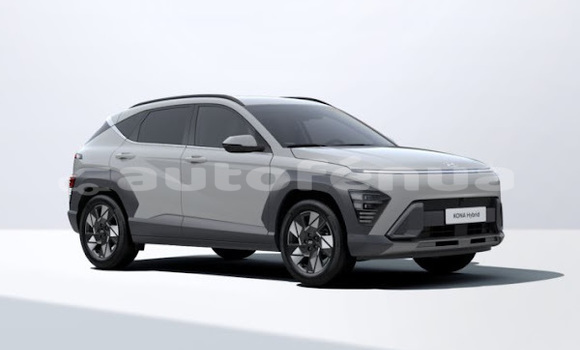 Buy Used Hyundai XG Silver Car in Punaauia in Tahiti