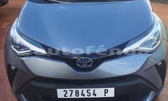 Buy Used Toyota C-HR Silver Car in Anapoto in Tubuai
