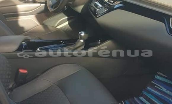 Acheter Occasion Voiture Toyota C-HR Gris à Anapoto, Tubuai Acheter Occasion Voiture Toyota C-HR Gris à Anapoto, Tubuai