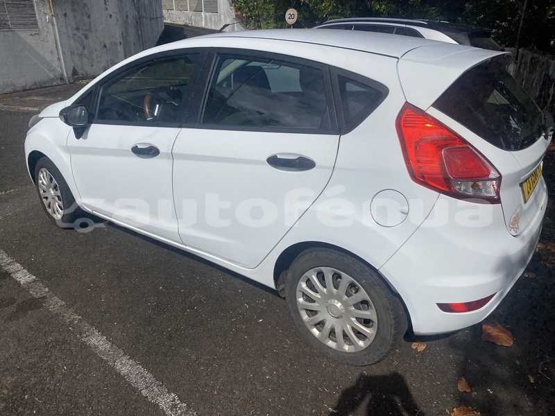 Big with watermark ford fiesta tahiti faaa 5069