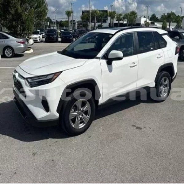 Big with watermark toyota rav4 tuamotu fangatau 5072